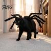 Holiday Party Accessories Halloween Spider Pet Costume for Small Dogs Cats, Cat Cosplay Outfit with Spooky Adjustable Straps Dress Up And Photo Shoots