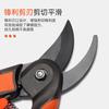Pruning Shears Coarse Branch Shears Stainless Steel Fruit Tree Pruning Shears Garden Tools
