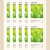 Essential Green Tea Mask Sheet 10 Sheets