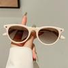 Cat Eye Sunglasses Women New in Korean Style Gradient Casual Shades Trendy Luxury Brand Design Outdoor Decor Sun Glasses