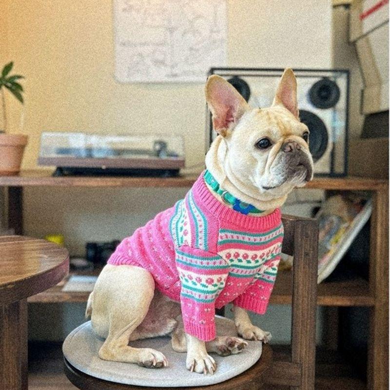 Pull Vintage TOOF l Rose