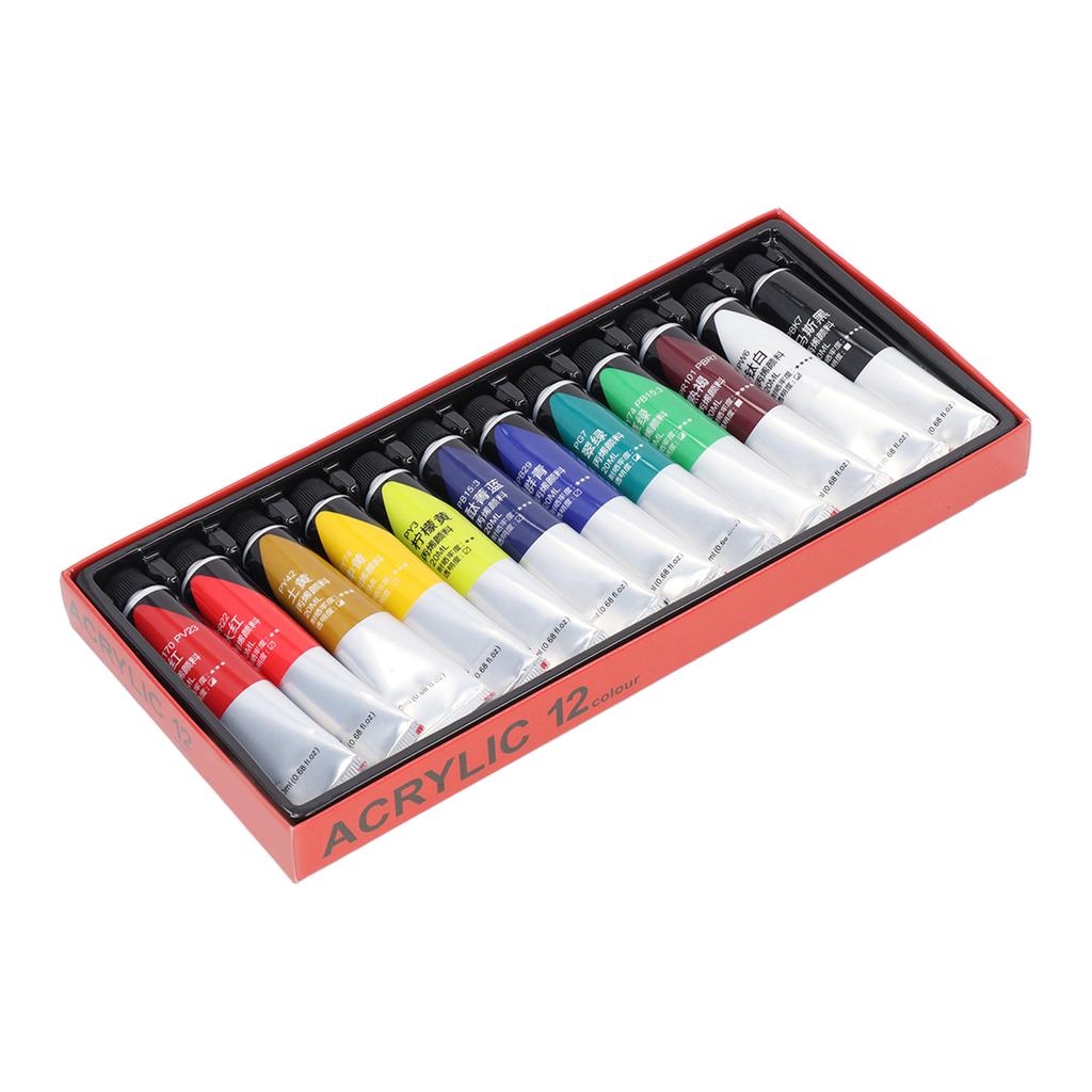 Acrylic Paint Set DIY Fluid Waterproof 12 Colors 20ml Each Fast Drying Safe Harmless Art Craft Paints for Wood Fabric