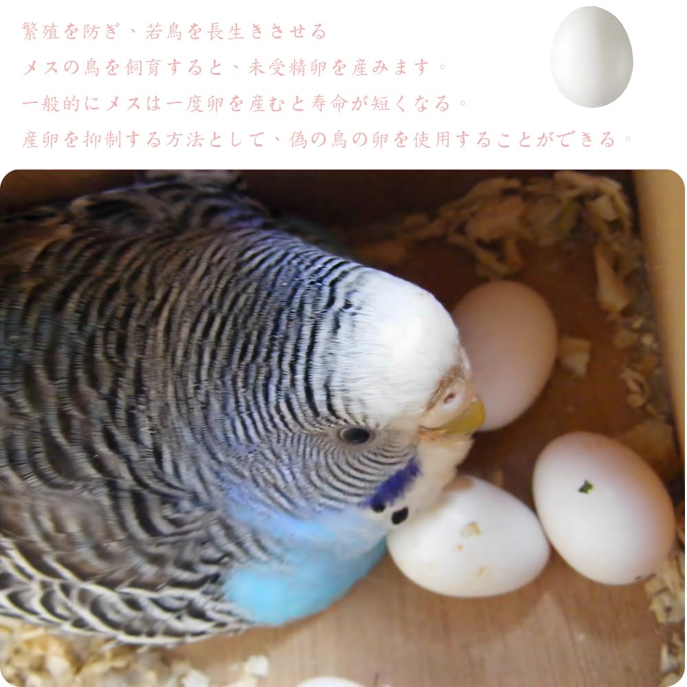 LYHMHAMY Fake Plastic Set of Bird Toys for and Small Breeding Fake Egg Food DIY Gardening Accessories Eggs, Eggs, 6, Parakeets, Budgies, Birds,