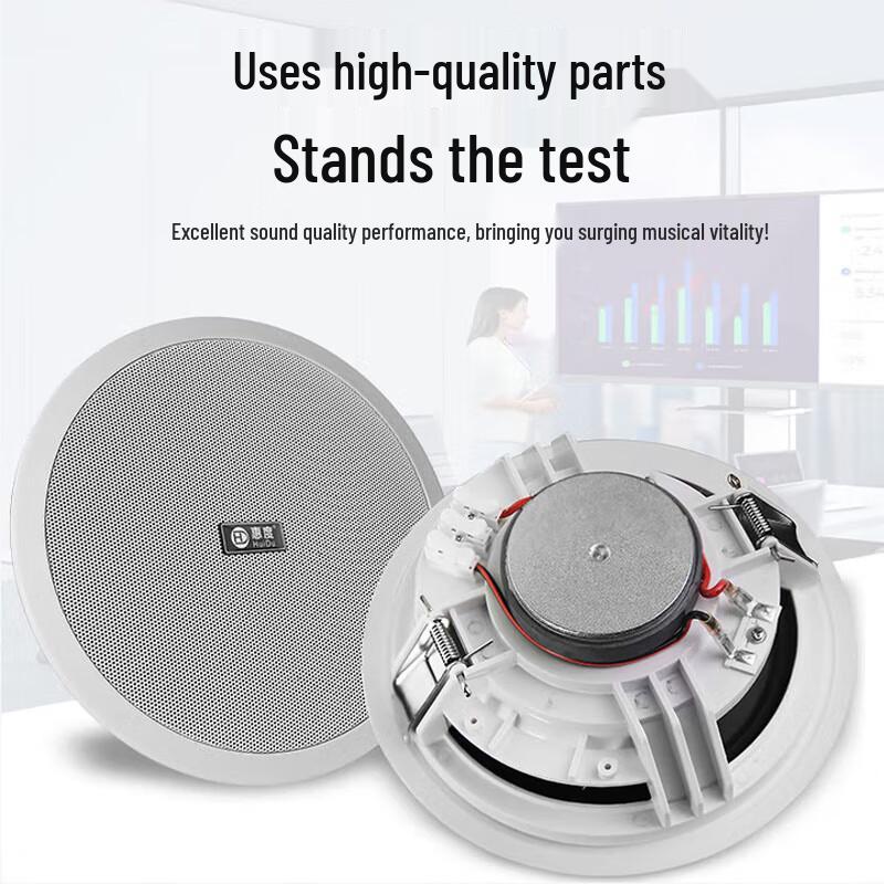 Huidu Professional Coaxial Ceiling Speaker CN Plug (adapter Included)
