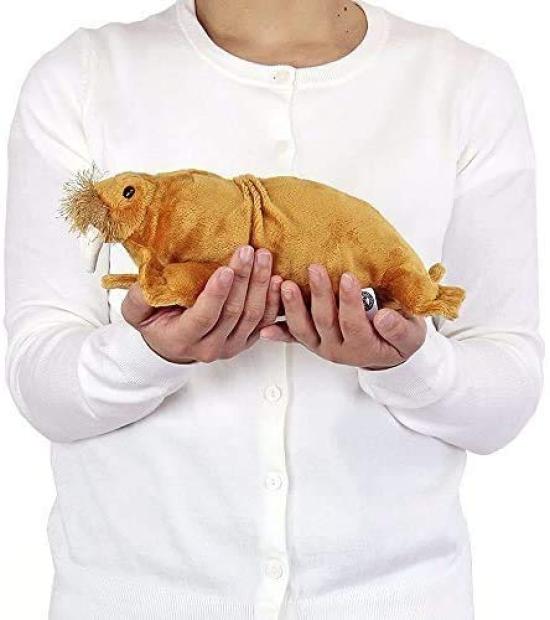 Calorata Walrus Plush Toy (Nestling SeriesSoft Touch) Realistic Animal Toy Doll Gift Present Birthday (Twice Tested)  Christmas Present