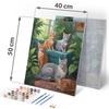 Paint By Number Picture 40X50 Cm Massido Cats