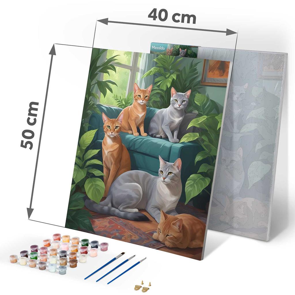 Paint By Number Picture 40X50 Cm Massido Cats
