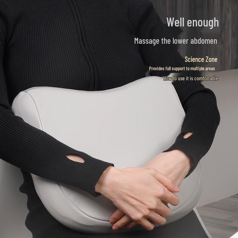 SANSUI Shiatsu Massage Pillow
