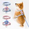 Perros – Collares y correas