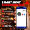Smart Wireless Meat Thermometer, Meat Thermometer Digital for BBQ, Oven | Bluetooth & App-Enabled | Base with Charging and Temperature Display