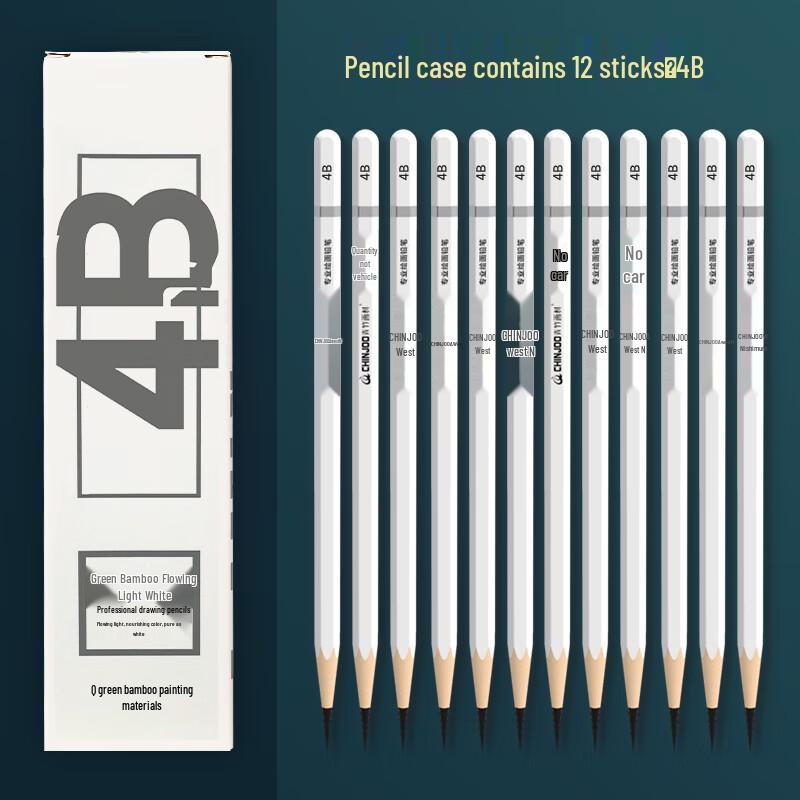 CHINJOO Professional Drawing Pencils