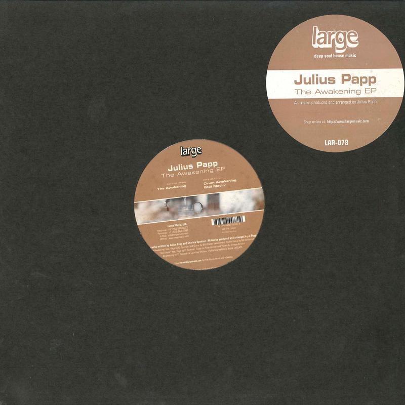 

12inch Record JULIUS PAPP Awakening EP LAR078 LARGE 2002 US Dance Electronica Used