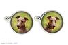 Azawakh, Tuareg Sloughi - cufflinks and tie with your photo, a suit decoration, men's jewelry from the Art-Dog brand.