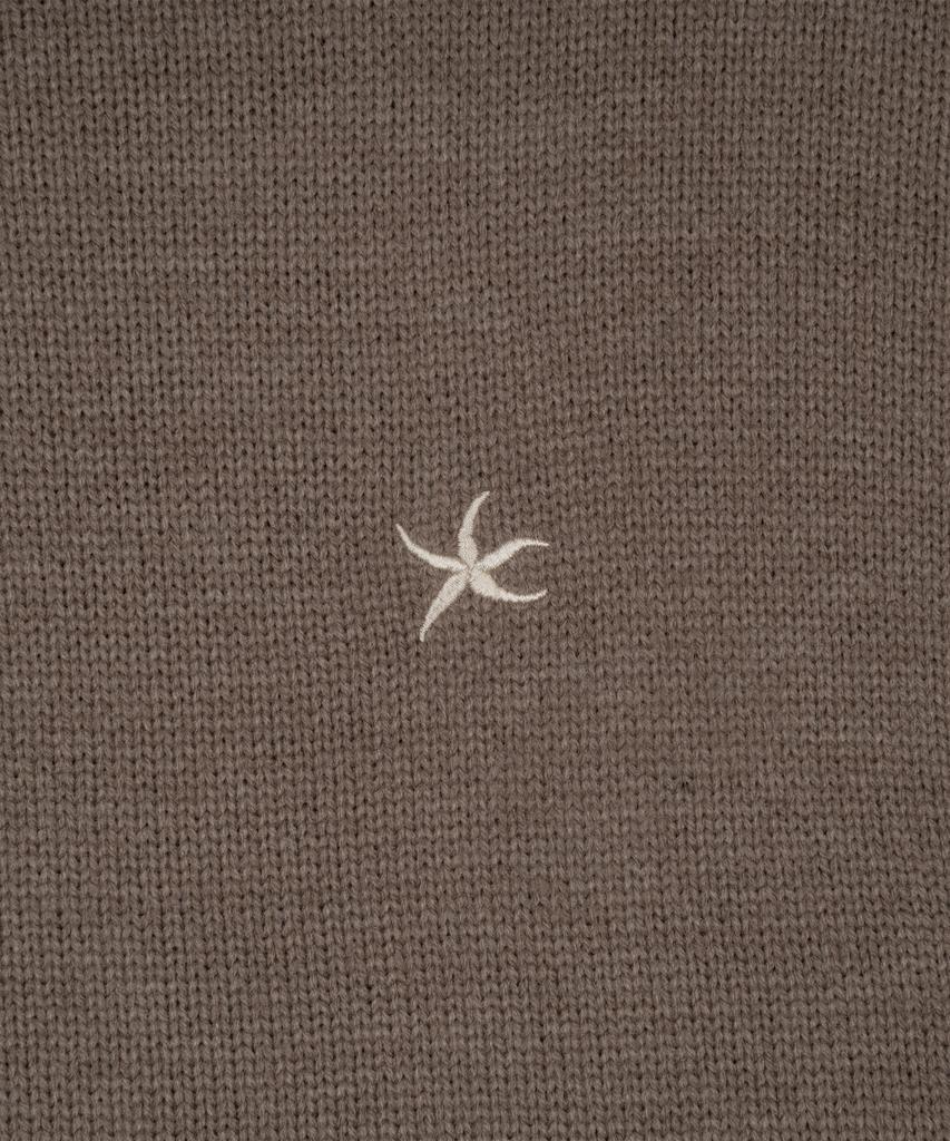 THE COLDEST MOMENT Tcm Starfish Mini Logo Knit (Brown)
