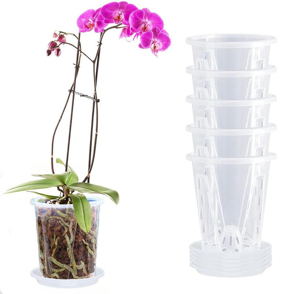 Clear Plastic Orchid Pot with Drainage Holes – Rooting Pot for Phalaenopsis & Moss Plants