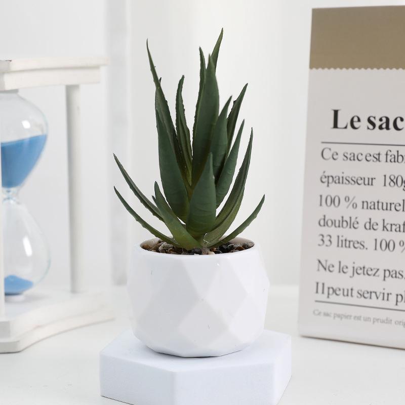 Diamond Succulent Set: Desktop Potted Ornament Decor