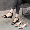 Spring and Summer New Thick Heel Fish Mouth Buckle Solid Color Side Empty Casual Sandals