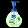 Safeguard Healthy Foam Antibacterial Hand Wash, Green Apple