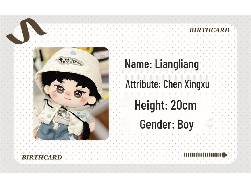 20cm Chen Xingxu Cotton Plush Doll - Liangliang Star Figure Toy Festival Gift