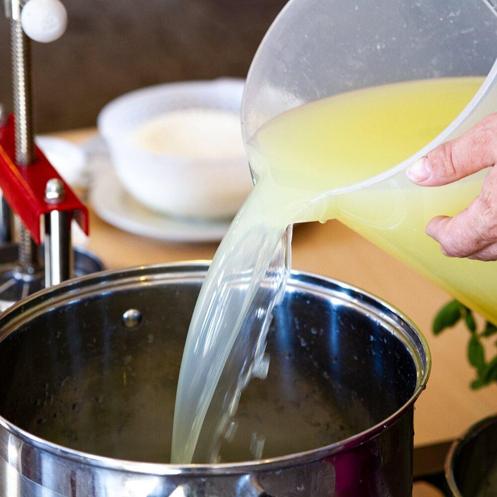 Natural Liquid Rennet For Cheese 50 Ml