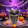 Yousheng Halloween Gothic Bat Storage Box Simulated Bat Resin Figurine Statue Retro Bat Jewelry Trinket Organizer Box Party Decoration Ornament