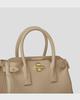 Chic Women's Tote Bag: Niche Design, Hand-Held Platinum, Large-Capacity, Fashionable Messenger Bag.