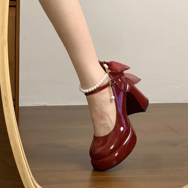 Fashion Mary Jane High Heels Women's 2025 Spring and Autumn New Block Heel Single Shoes French Retro Small Leather Shoes