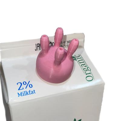 Bardak Takımı – Tıpalar ve Bulaşık Kapakları