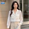 Women's Long-Sleeve Wrinkle-Free Formal Shirt