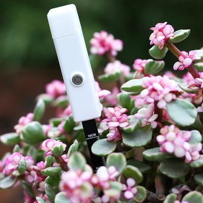 Soil Moisture Meter Temperature Humidity Tester Plant Monitor Garden Plant Detector Humidity Meter Tool
