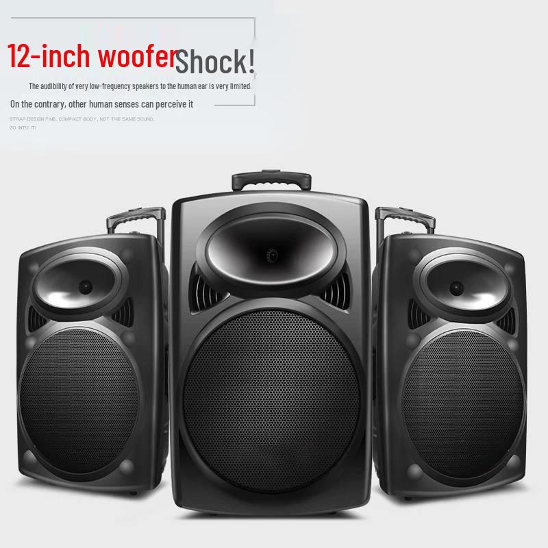 12-Inch Portable Bluetooth Speaker with High Volume for Outdoor Events and Karaoke