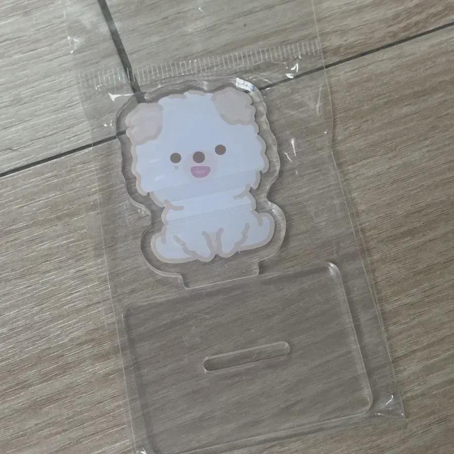 Day6 Acrylic Stand