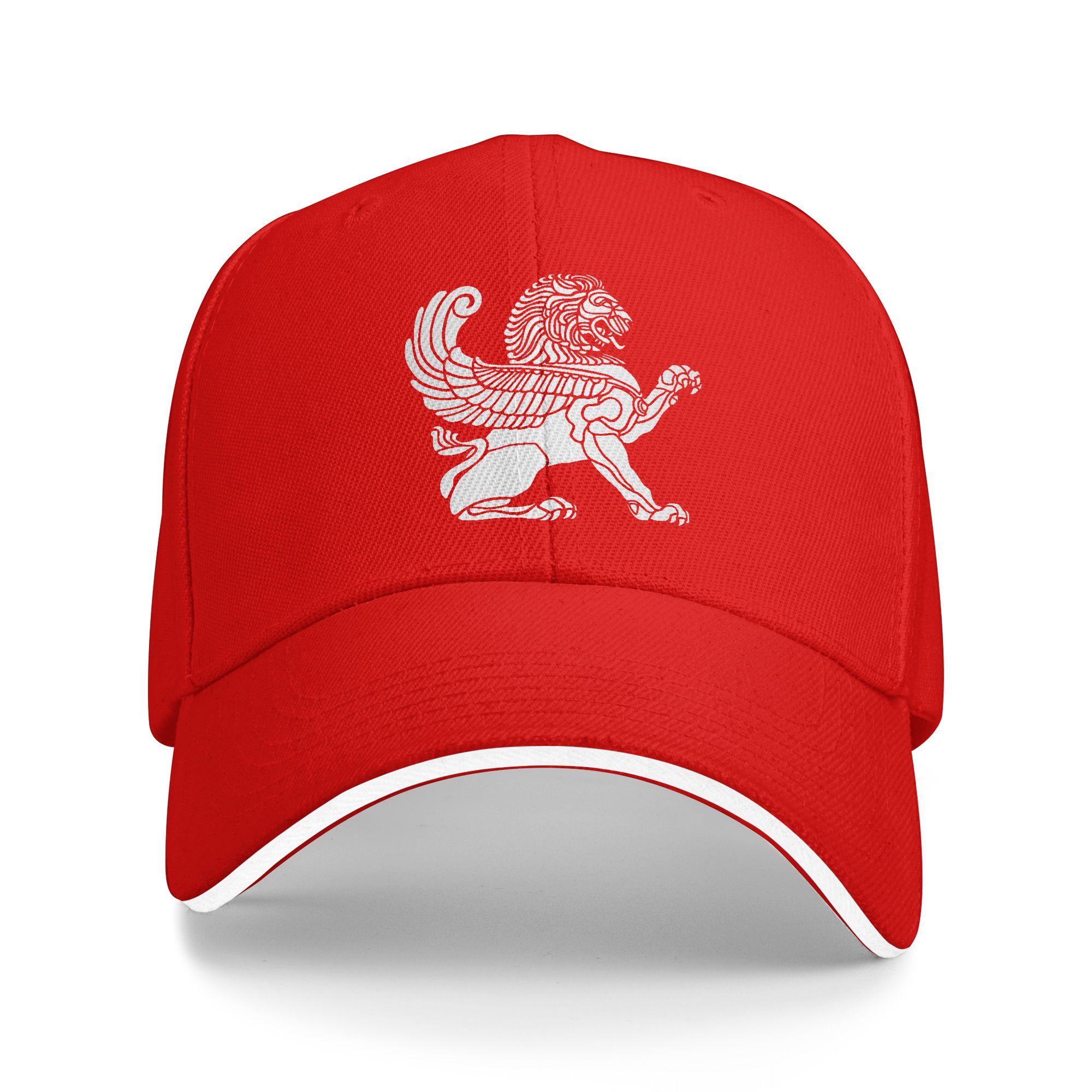 

Persian Lion Iranian Persia Symbolism Icons Baseball Cap Outdoor Sports High Quality Hip Hop Hats Unisex Women Baseball Caps One Size