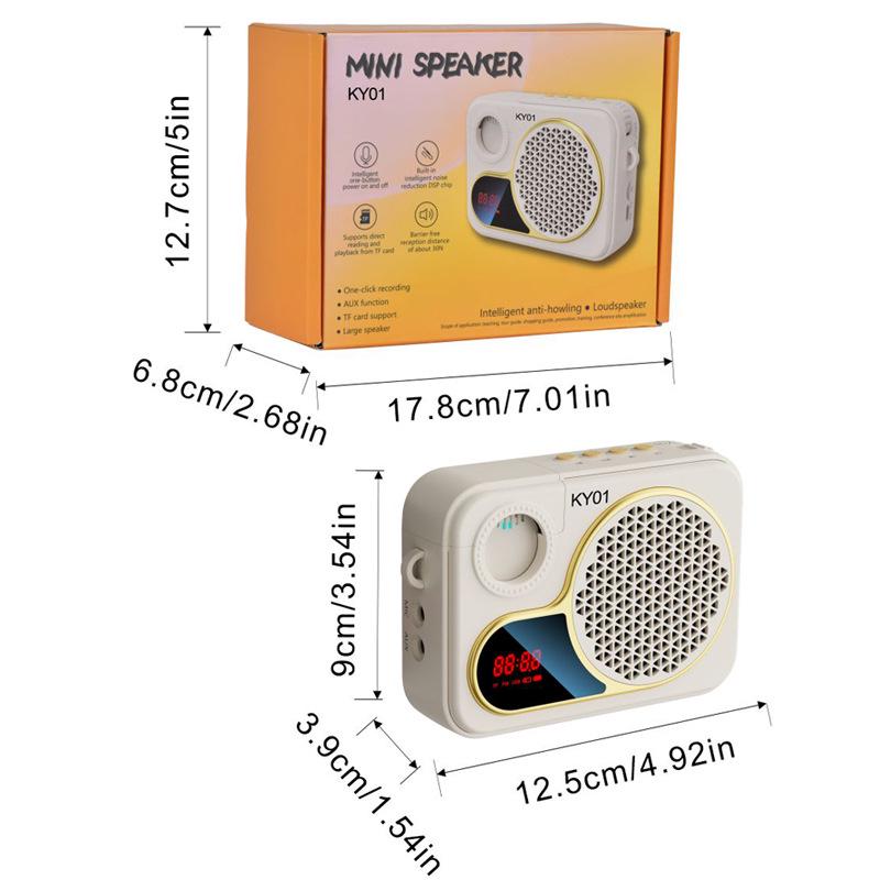 Portable Bluetooth Speaker & Lightweight Wireless Microphone for Teachers & Musicians