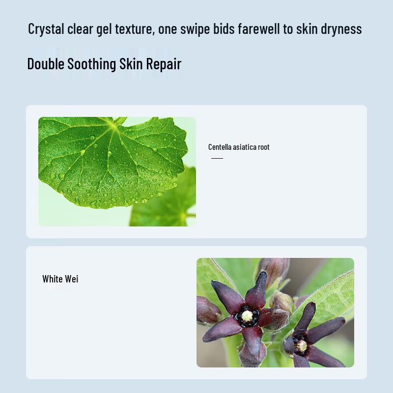 Xue Wan Mei Arctic Water-Light Hydrating Cream