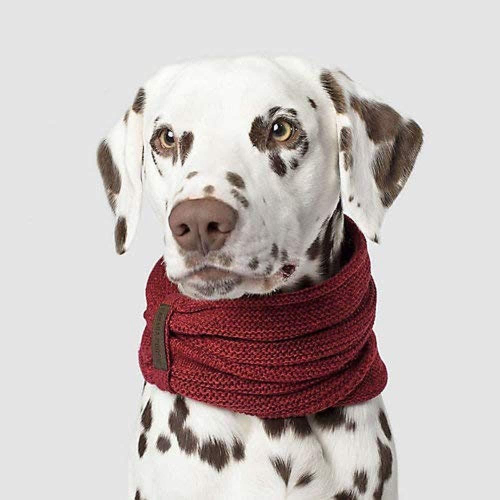 PLT Écharpe Rose À Logo Et Franges Couverture | Accessoires