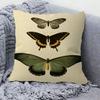 Butterfly 45*45cm Cushion Cover Pillow Cover Decor Pillowcase Home Pillowcase For Couch Pillow