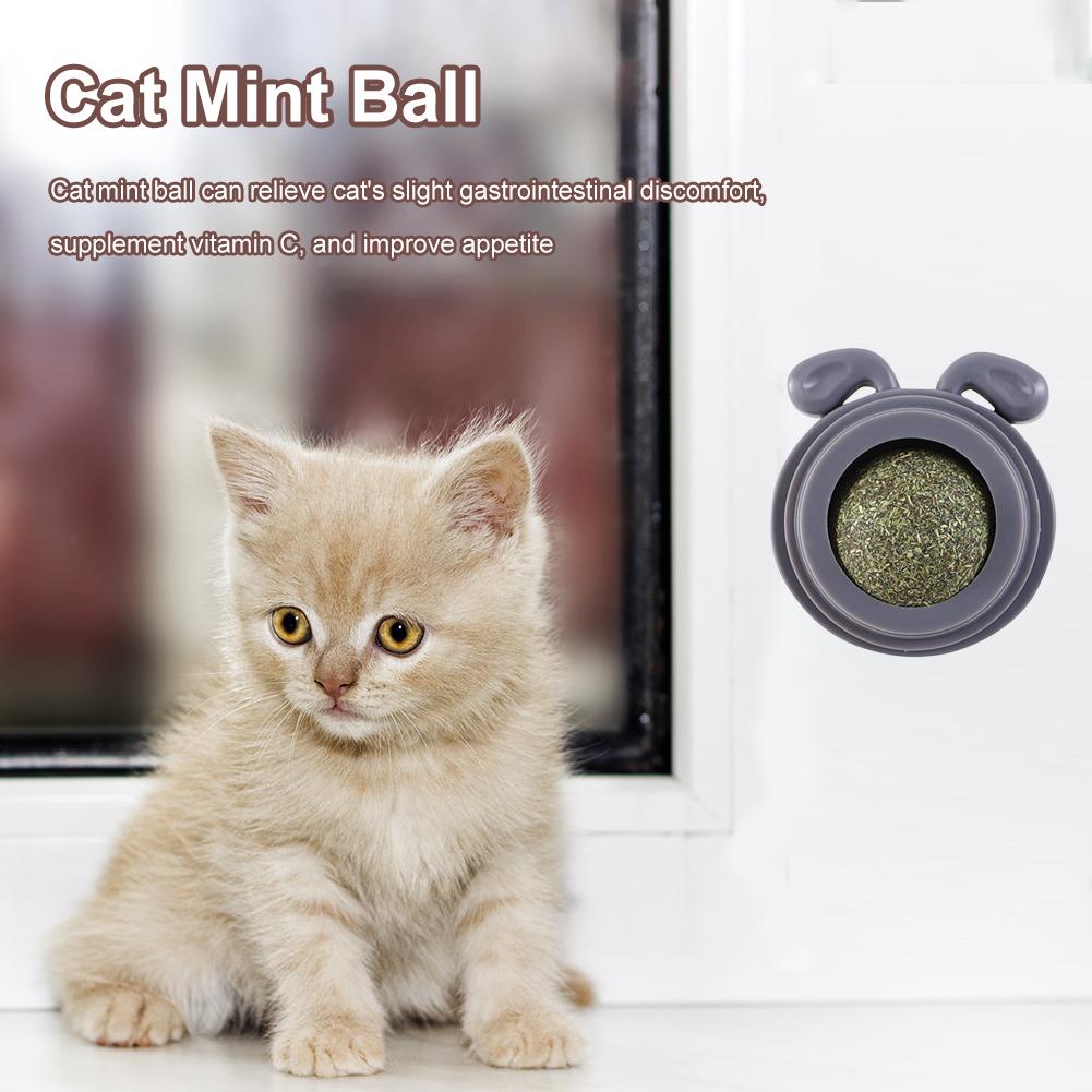 Plastic Catnip Edible Lick Balls Natural Safe Dog Head Shape Catnip Balls Toy for Cats Replaceable Rotatable Pet Treats Supplies