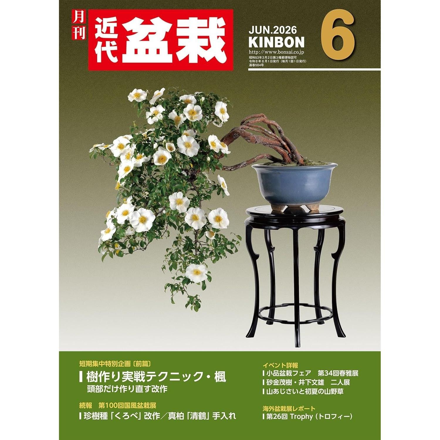 Modern Bonsai June 2026 Edition Magazine