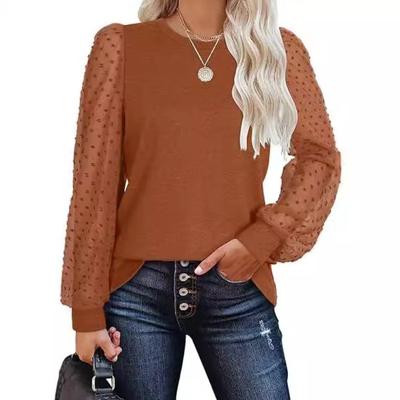 Mesh Long Sleeved Casual Round Neck T-shirt for Women