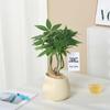 Nordic Ceramic Orchid Vase - Light Luxury Style for Small Plants