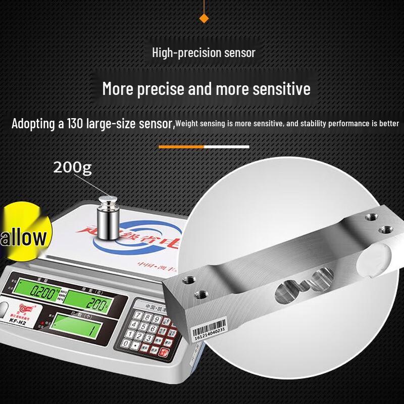 Zhi Shi H2 Multifunction Electronic Counting Scale