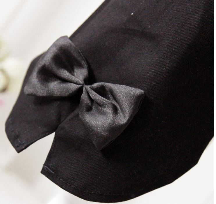 Vacances de printemps/été Deux smokings Teddy Bigbear Pomeranian Dog Clothes Pet Gentleman Suit Dress Dog Cat