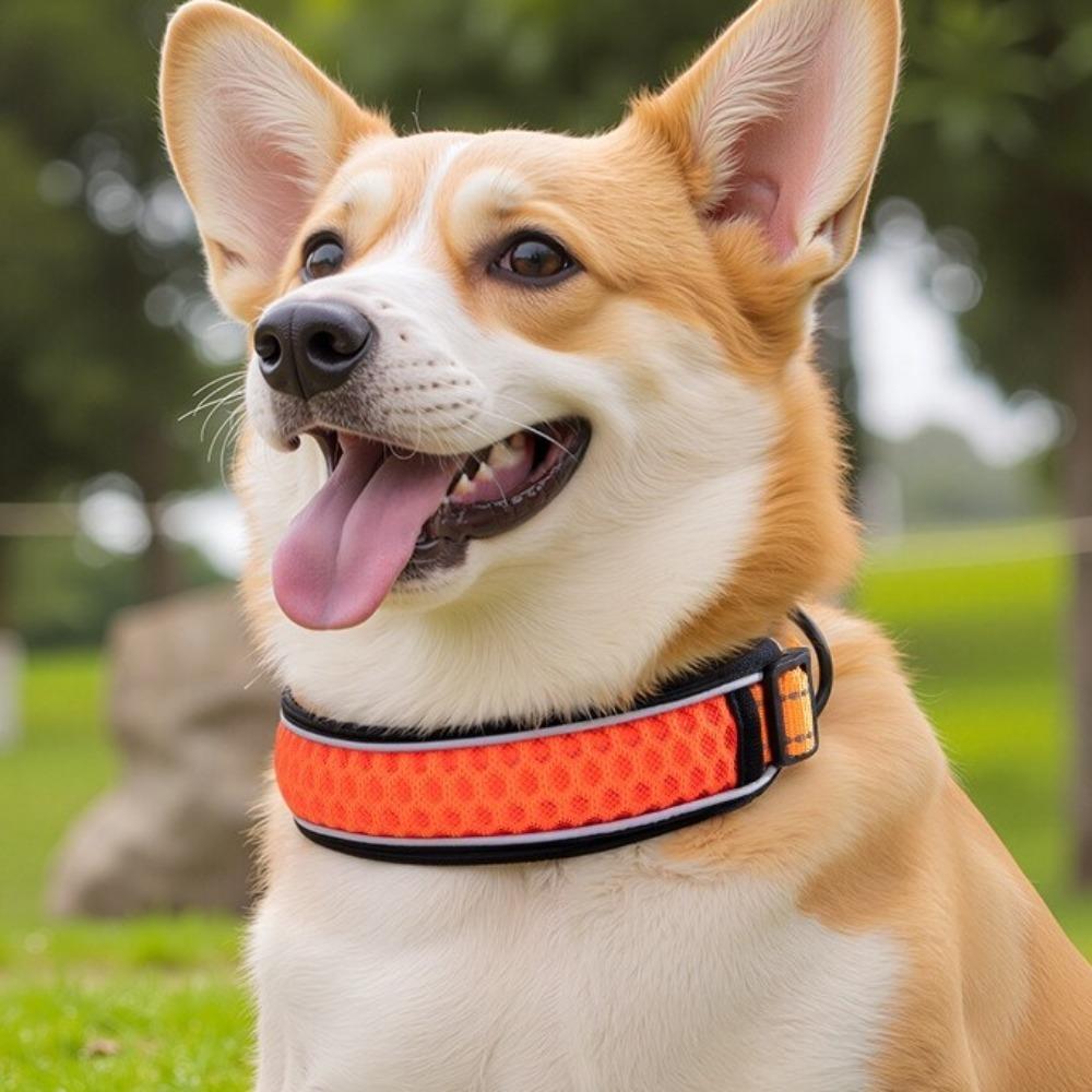 

Adjustable Reflective Dog Collar Nylon Pet Traction Rope High-grade Pet Collar for Dog XS-Style C