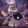 Kedi – Kediler için giyim