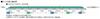 TOMIX N Gauge JR H5 seeria Shinkansen Basic Set 98570 Raudtee mudelrong Hokkaido/Tohoku