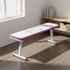 Foldable Dumbbell Bench Multi Function Adjustable Heavy Duty for Beginners