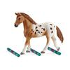 Schleich Horse Club Appaloosa Horse Training Set Figure 42433