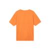 New Nike Acg Logo T shirt DJ3643-885