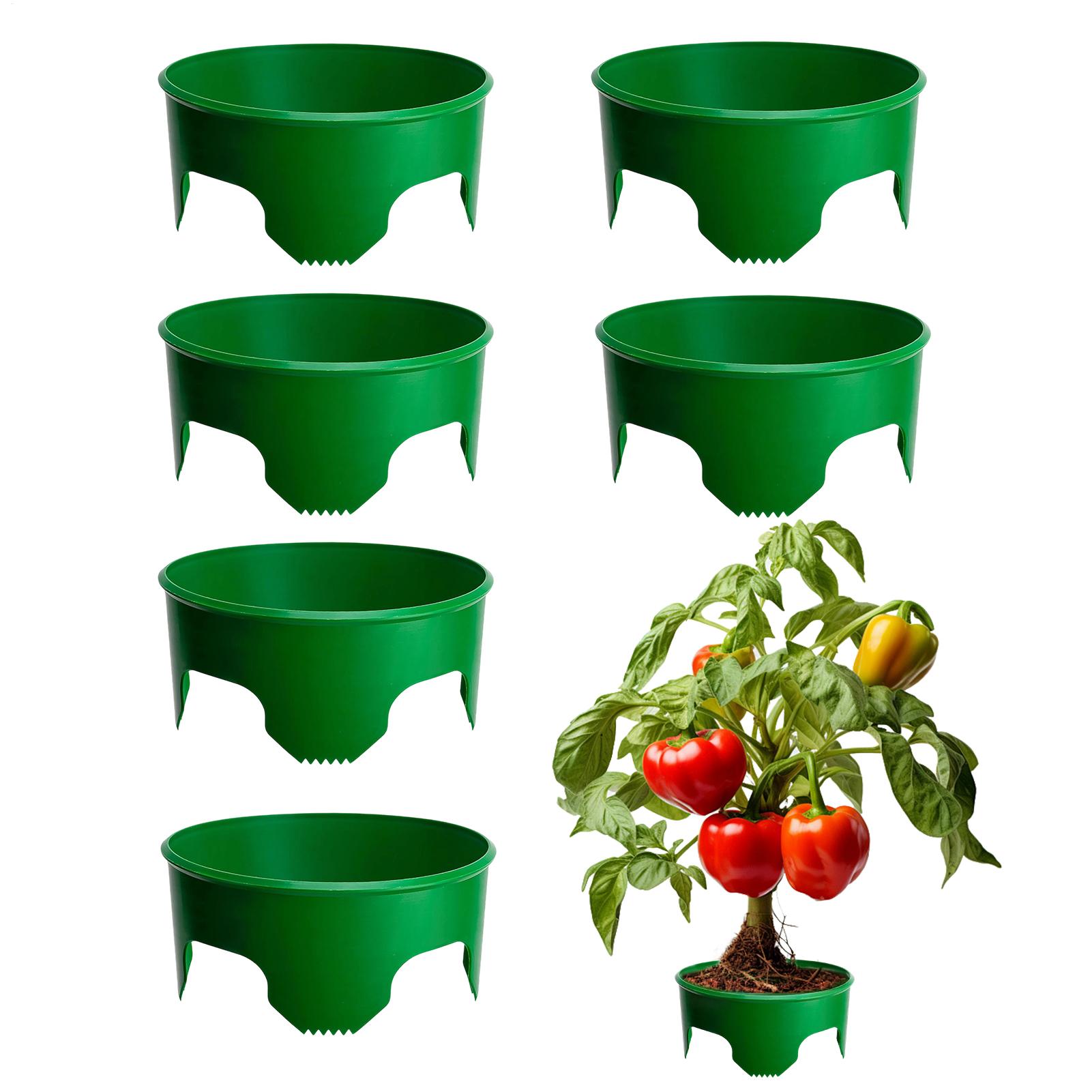 6pcs planting growth rings with protective Round Edging to isolate rocks and pests for vegetable and flower planting growth CN